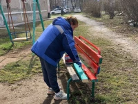 Совет депутатов не стал дожидаться официально назначенной даты субботника и вчера вышел на уборку