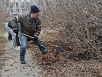 Совет депутатов не стал дожидаться официально назначенной даты субботника и вчера вышел на уборку